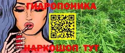mdpv Краснознаменск