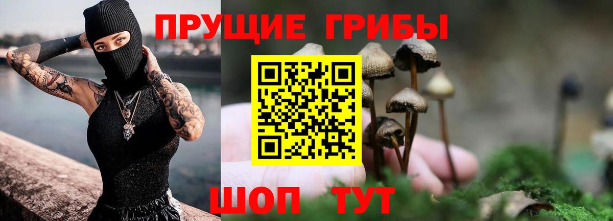 Псилоцибиновые грибы ЛСД  Вход с VPN  Урюпинск  закладка  Псилоцибиновые грибы прущие грибы 